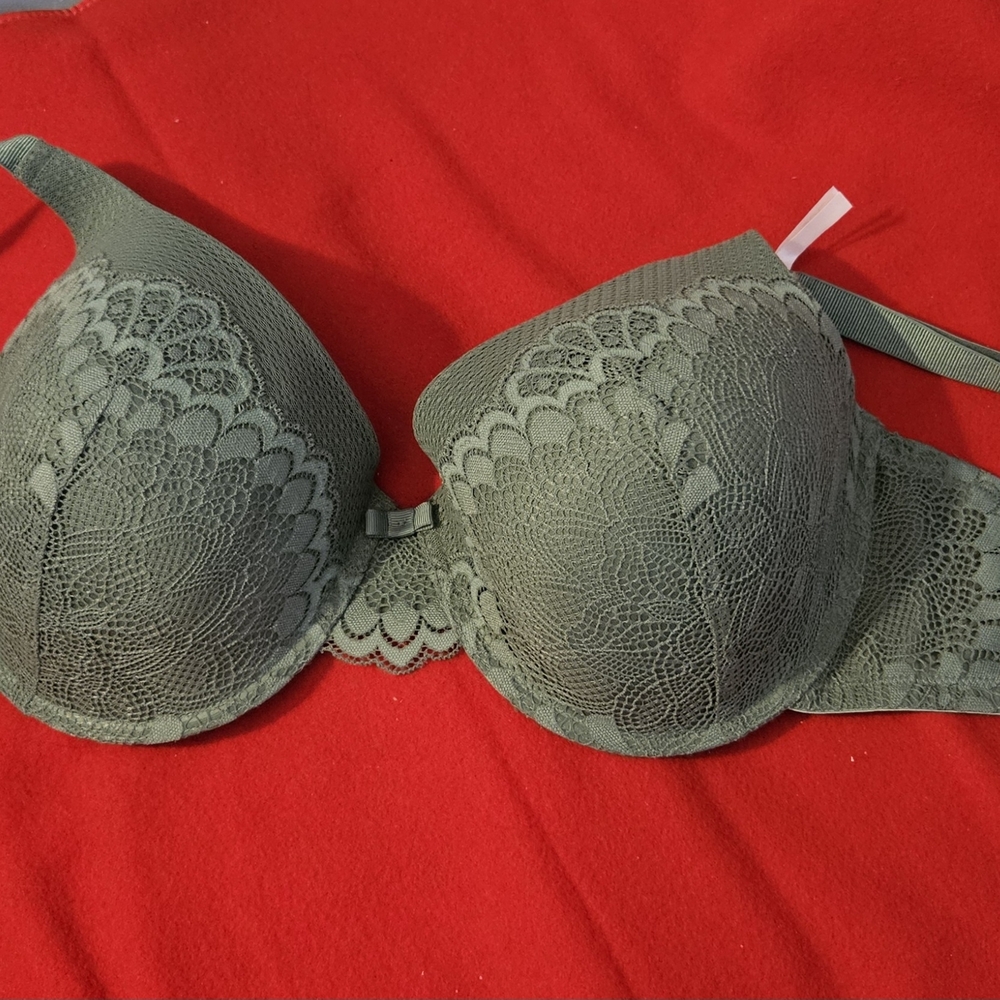 La Vie En Rose Elegant Lace Bra in Olive